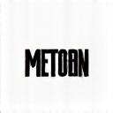 Metsolan logo